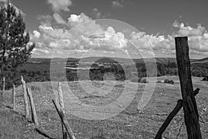 Black and white photography of the meadow in the valley photo