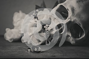 Black and white photography with rings, human skull and roses on