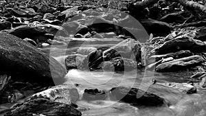 Black and White Photography of a River in the Woods of the Great Smoky Mountains.