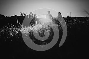 Black white photography romantic couple standing and kissing on background summer meadow