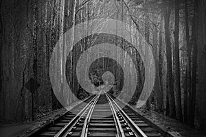 Black and White Photography of Train Tracks or Rail Roads in the Magical Fantasy Forest