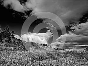 Black & White Picture of Cloud & Nature