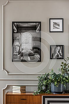 Black and white pictures on grey wall with molding above green plants in glass vase