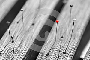 Black and white pinheads with a single red marker