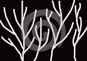 Black white plant jpeg image high resolution