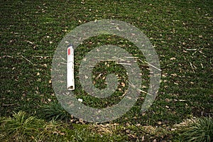 Black and white plastic roadside pole being hit by a car