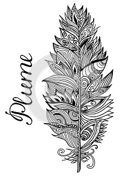 Black white plume on the background with lettering. Vector illustration.