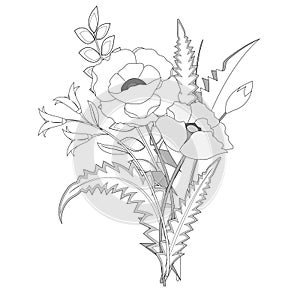 Black and white poppy and wild flowers bouquet. Coloring book page.