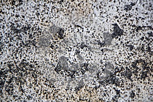 Black and white porous granular stone. rough surface texture