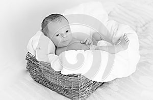 Black and white portrait of cute newborn baby lying in big wicker basket