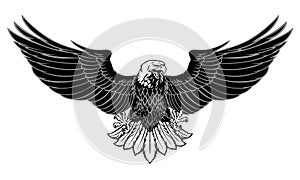 Black and white powerful eagle spread the wings