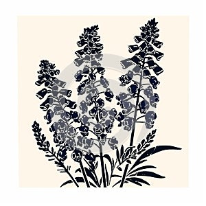 Lauren Sharon Black Lupine Flower Woodcut-inspired Print photo