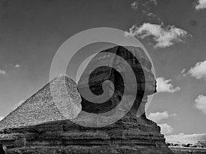 Black and white profile view of the Great Sphinx of Giza