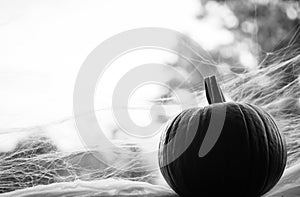 Black and White Pumpkin in Window with Spider Webs