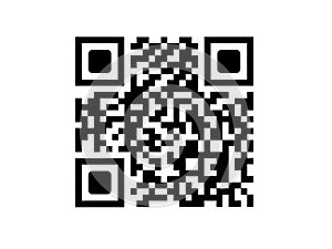 A black and white qr code with a complex central pattern