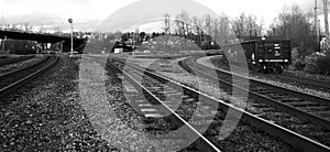 Black and White Rail Yard