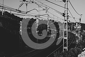 Black and white railroad photo