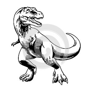 Black and White of Raptor Hand Drawn Illustration