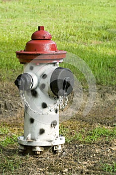 Black, white, and red fire hydrant