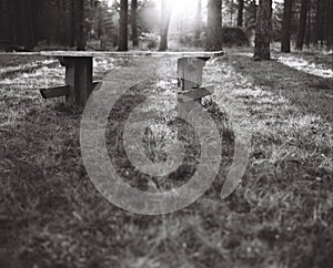 Black and white rest