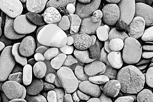 Black and White River Rocks Background