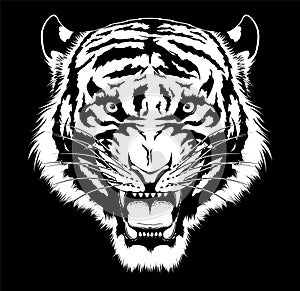 Black and white roaring tiger head