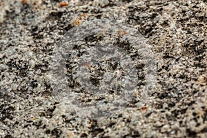 Black and white rock