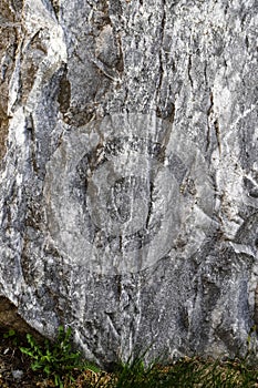 Black and white rock standing upright on the ground with green grass as a background