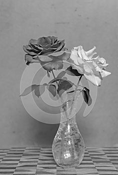 Black and White Rose flowers on Grunge Background