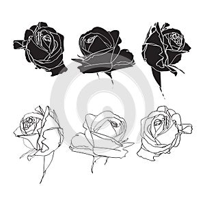 Black and white roses line set isolated on white background.