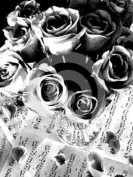 Black & White Roses in a Vase