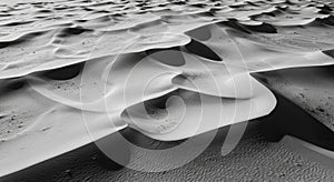 Black And White Sand Dunes Texture