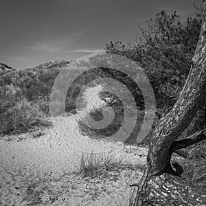 A black and white scenic view of Ainsdale Sands, Southport, Merseyside, Greater Manchester