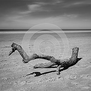 A black and white scenic view of Ainsdale Sands, Southport, Merseyside, Greater Manchester