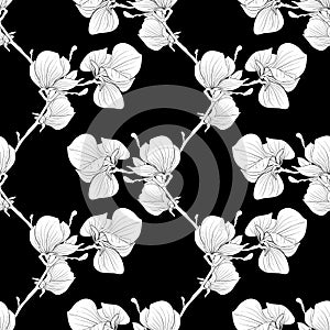 Black and white seamless background with blooming magnolia tree branches.