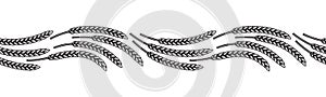 Black and white seamless border with ears of wheat, rye or barley. Hand drawn vector illustration