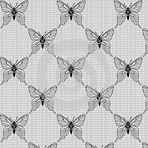 Black and white seamless with butterflies on the voile photo