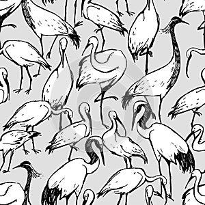 Black and white seamless pattern of birds stork, heron