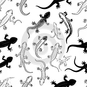 Seamless Pattern of Lizards and Salamanders