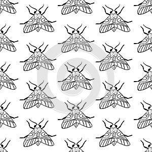 Black and white seamless pattern with moths and butterflies.