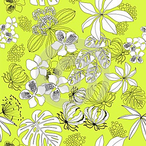 Black-white seamless pattern tropical plants on yellow background.vector illustration