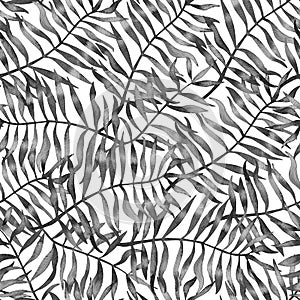 Black and white seamless pattern watercolor tropical leaves. Hand painted raster texture with palm leaf repeat