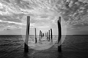 Black and white seascape with wooden pillars