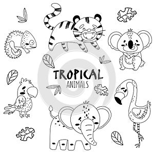 Black and white set cute tropical animals isolated background.  Stylized inscription and sketch of tree leaves