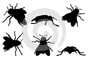 black and white set vector fly insect silhouette isolated on white background