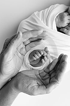 Black and white shade beautiful shape hands mother, hold tiny newborn baby fee?