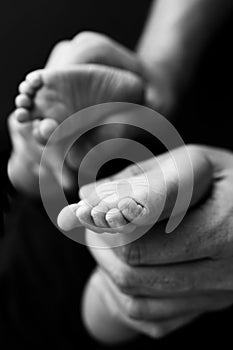 Black white shade beautiful shape hands of mother, hold tiny newborn baby feet