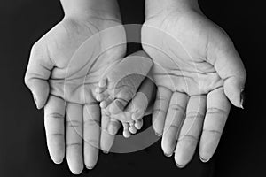 Black white shade beautiful shape hands of mother, hold tiny newborn baby feet