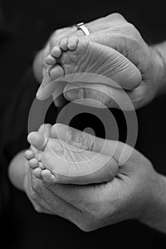 Black white shade beautiful shape hands of mother, hold tiny newborn baby feet