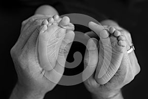 Black white shade beautiful shape hands of mother, hold tiny newborn baby feet